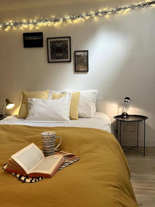 Grand Triplex Calme Avec Cour Privee Appartement